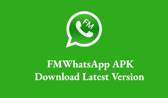 FM WhatsApp preview